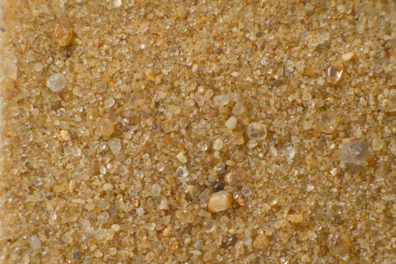 Nederland, Gelderland, Loenen, Loenermark